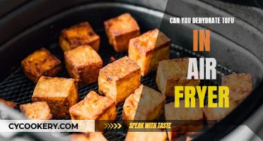 Dehydrating Tofu: Air Fryer Techniques for a Delicious Crunch