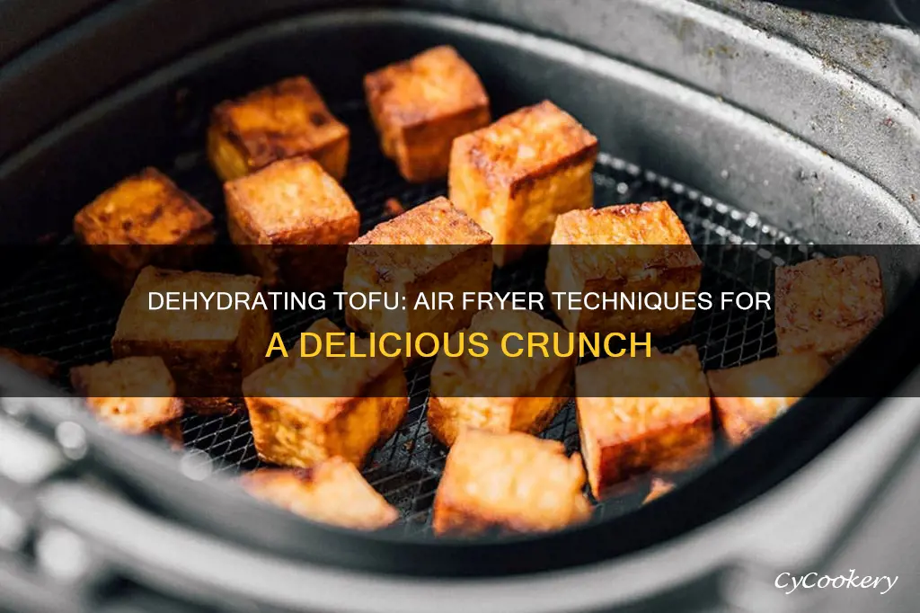 can you dehydrate tofu in air fryer