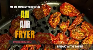 Dehydrating Tomatoes: Air Fryer Magic