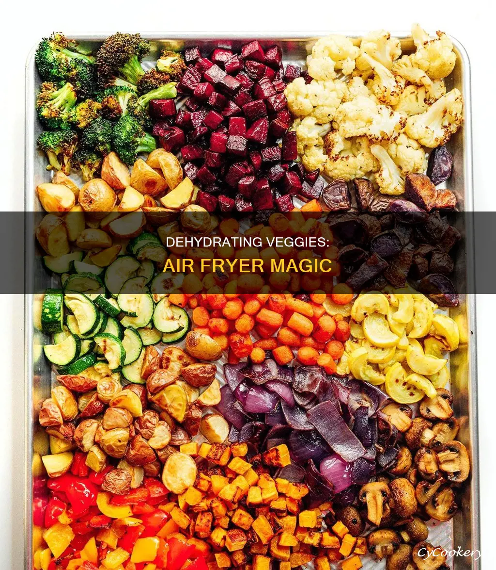 can you dehydrate vegetables in an air fryer