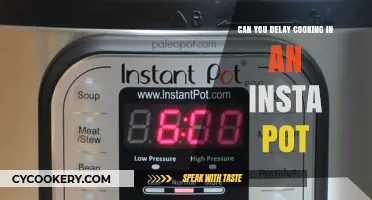 Delaying Dinner? Instapot's Delay Timer Feature Explained