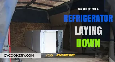 Can You Transport a Refrigerator Horizontally? Tips and Risks