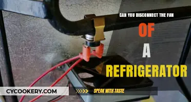 Can You Safely Disconnect a Refrigerator Fan? Expert Tips