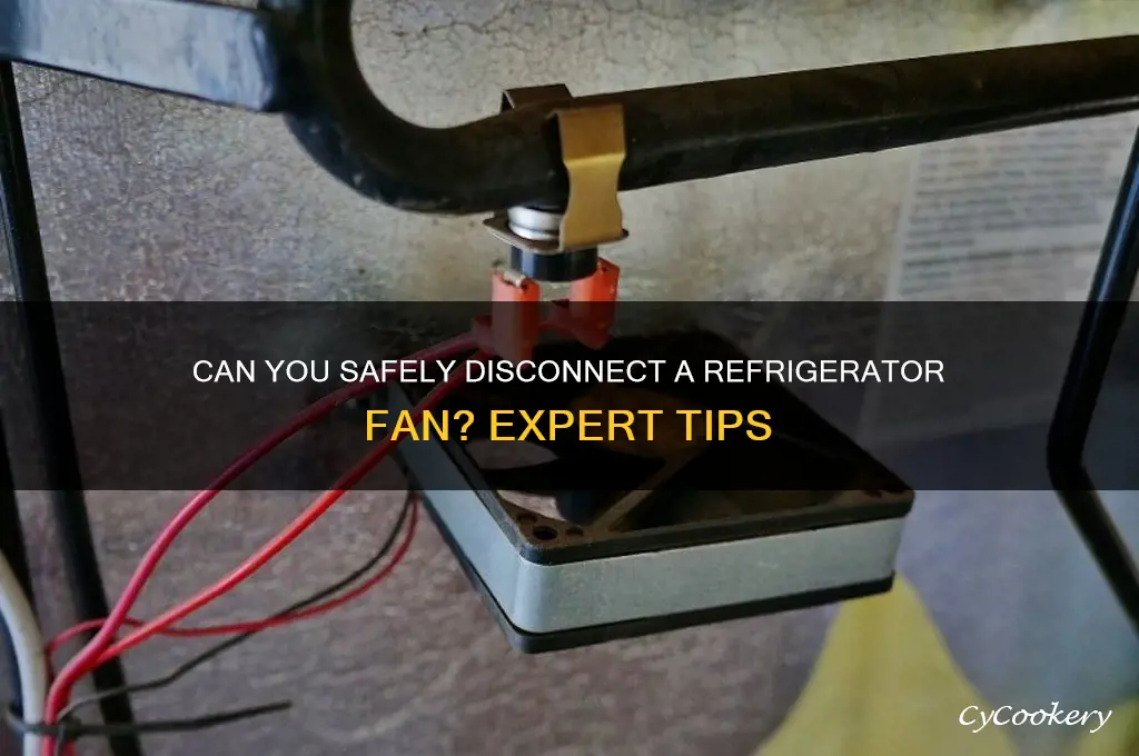 can you disconnect the fan of a refrigerator