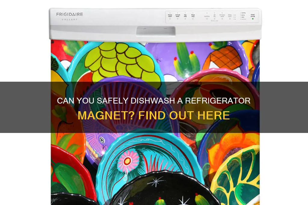 can you dishwash a refrigerator magnet