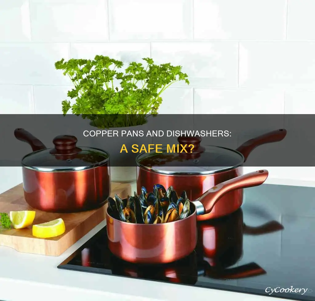 can you dishwash copper pans