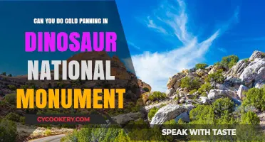 Gold Panning: Allowed in Dinosaur National Monument?