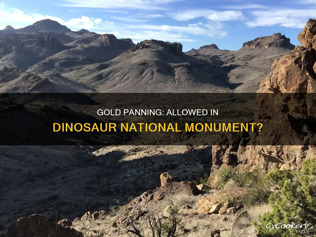 can you do gold panning in dinosaur national monument