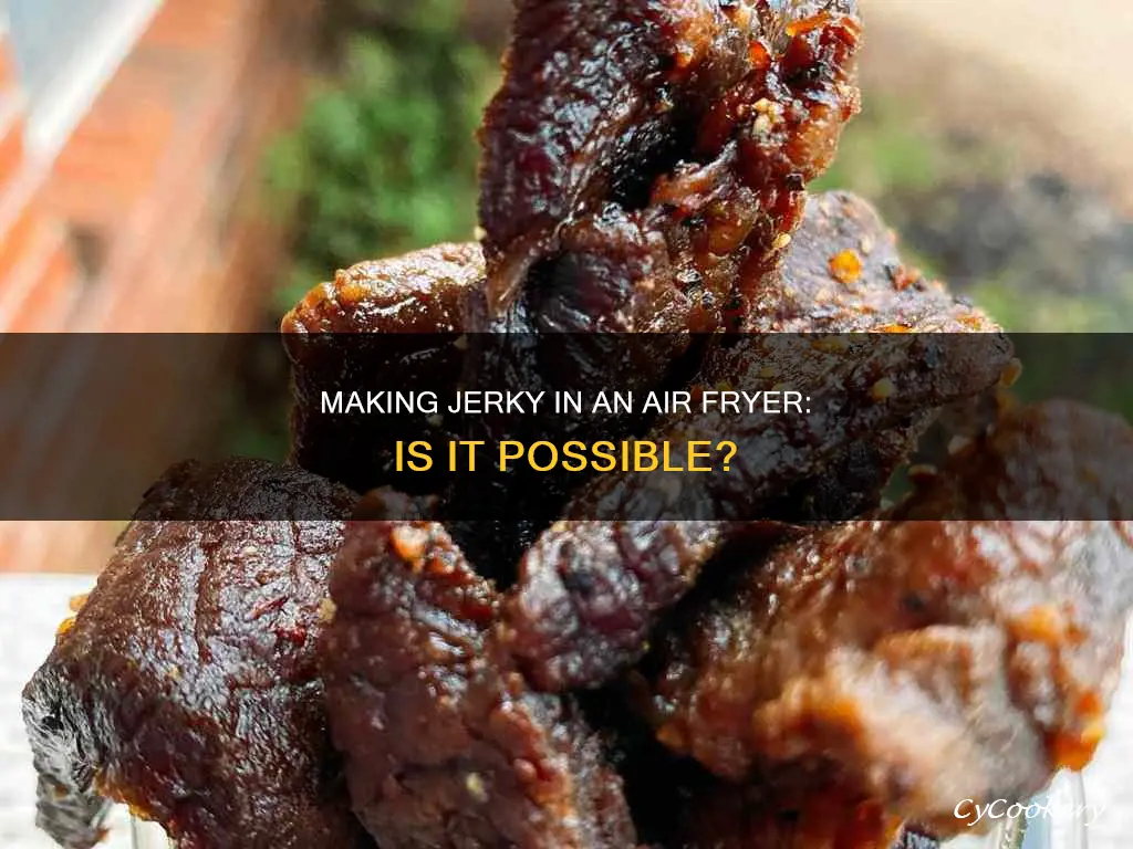 can you do jerky in an air fryer