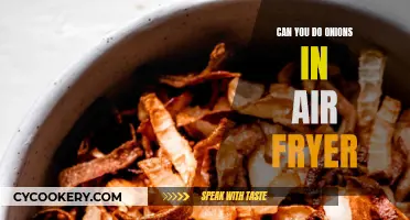 Air Fryer Onions: Can You Fry Them?