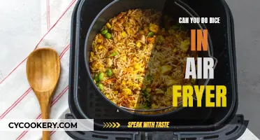 Air Frying Rice: Is It Possible?