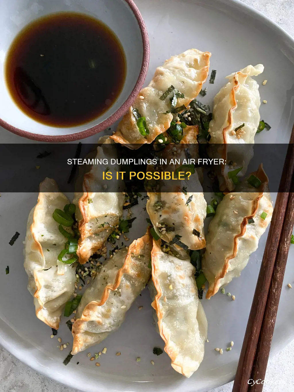 can you do steamed dumplings in an air fryer