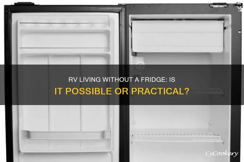 can you do without a refrigerator in an rv