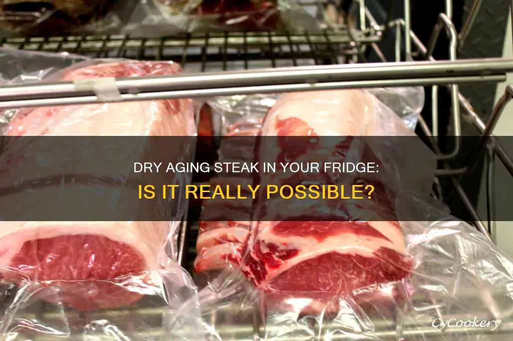 can you dry age a steak in the refrigerator