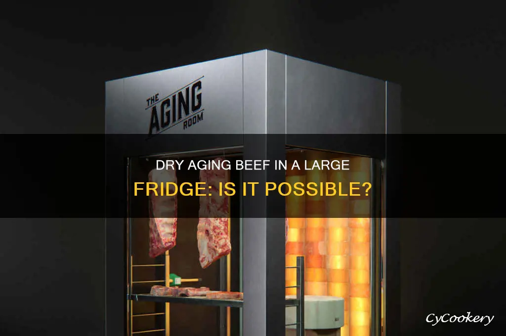 can you dry age beef in a large refrigerator