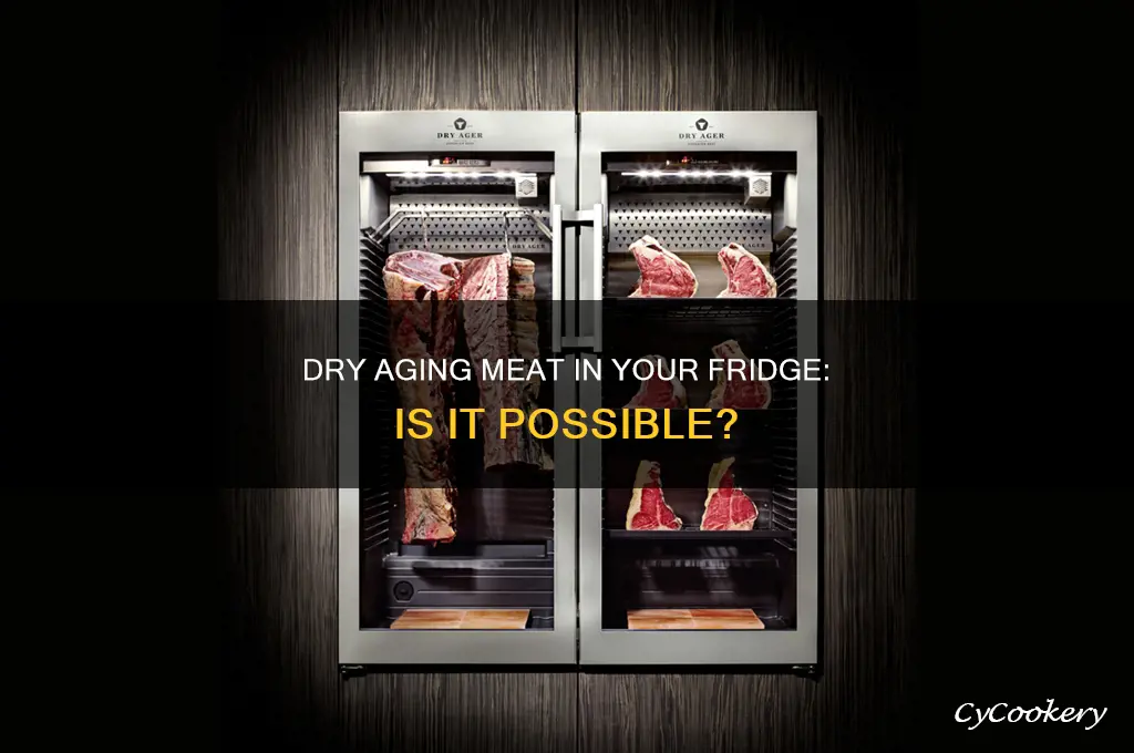 can you dry age meat in a refrigerator