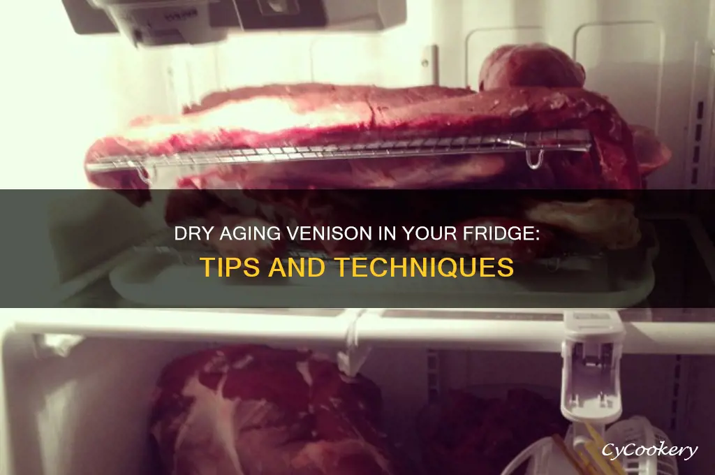 can you dry age venison in a refrigerator