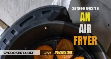 Air Fryer Magic: Drying Apricots to Perfection