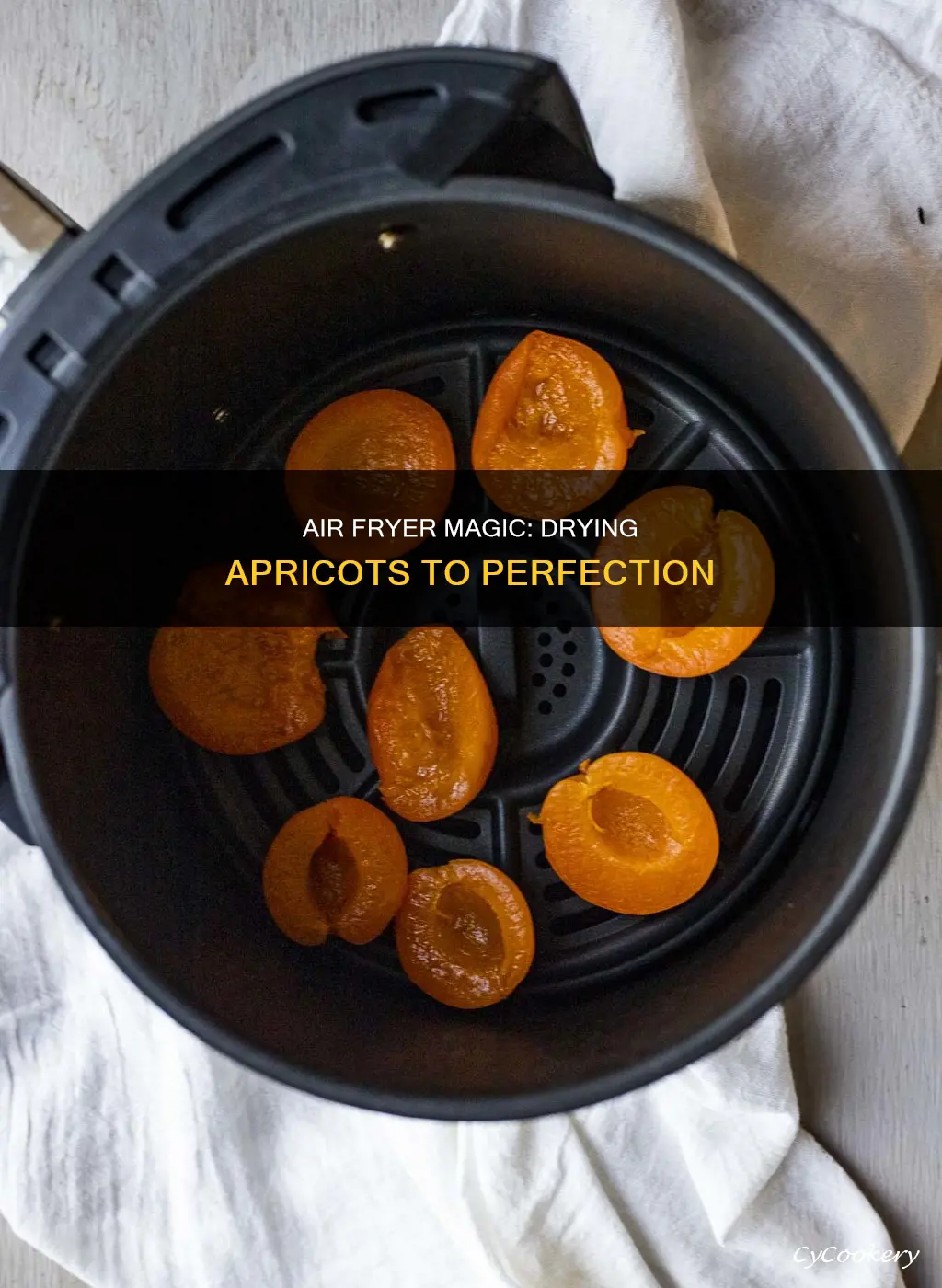 can you dry apricots in an air fryer