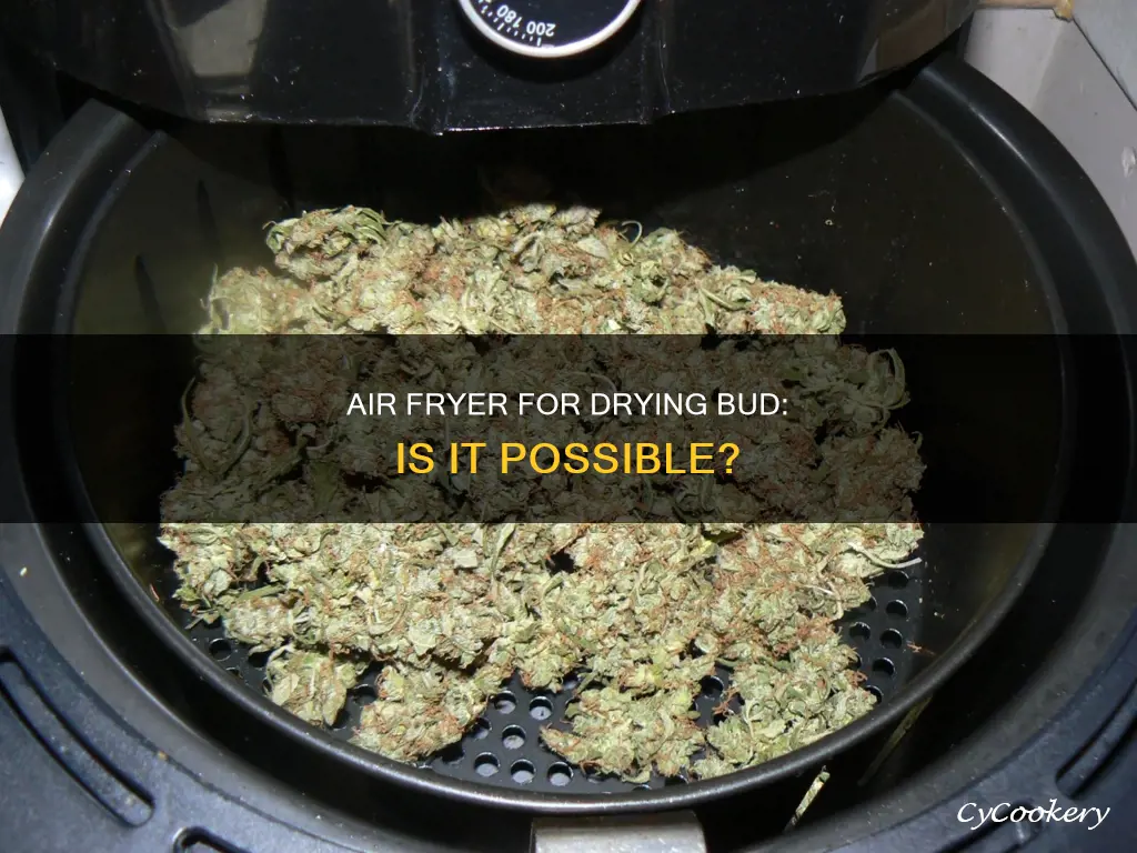 can you dry bud in an air fryer