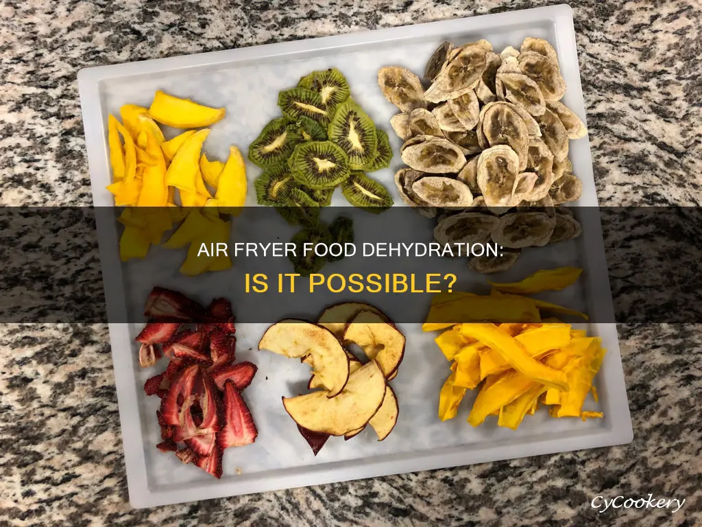 can you dry food in an air fryer