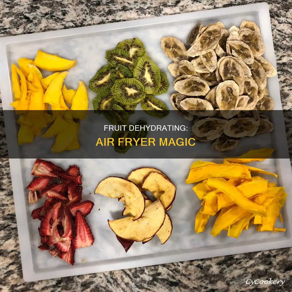 can you dry fruit in air fryer