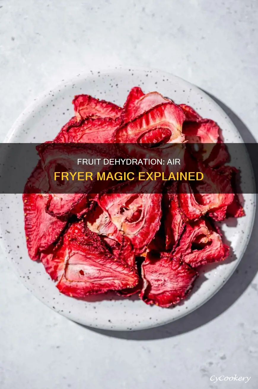 can you dry fruit in an air fryer