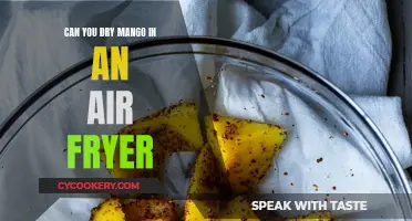 Air Fryer Magic: Drying Mangoes to Perfection