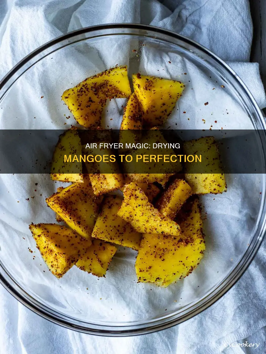 can you dry mango in an air fryer