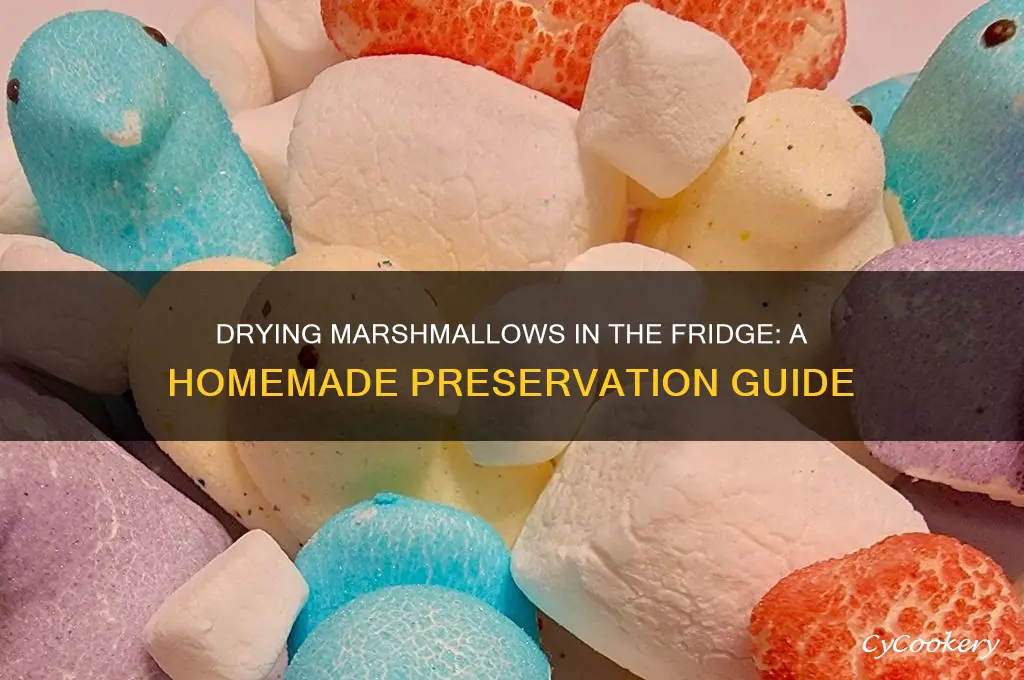 can you dry marshmallows in the refrigerate homemade