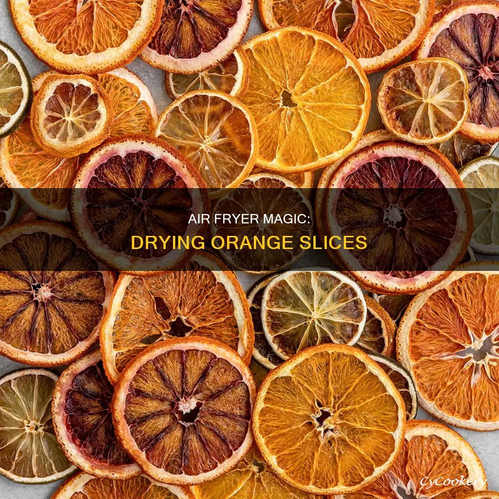 can you dry orange slices in air fryer