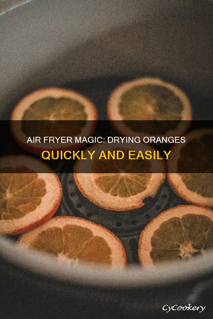 can you dry oranges in an air fryer