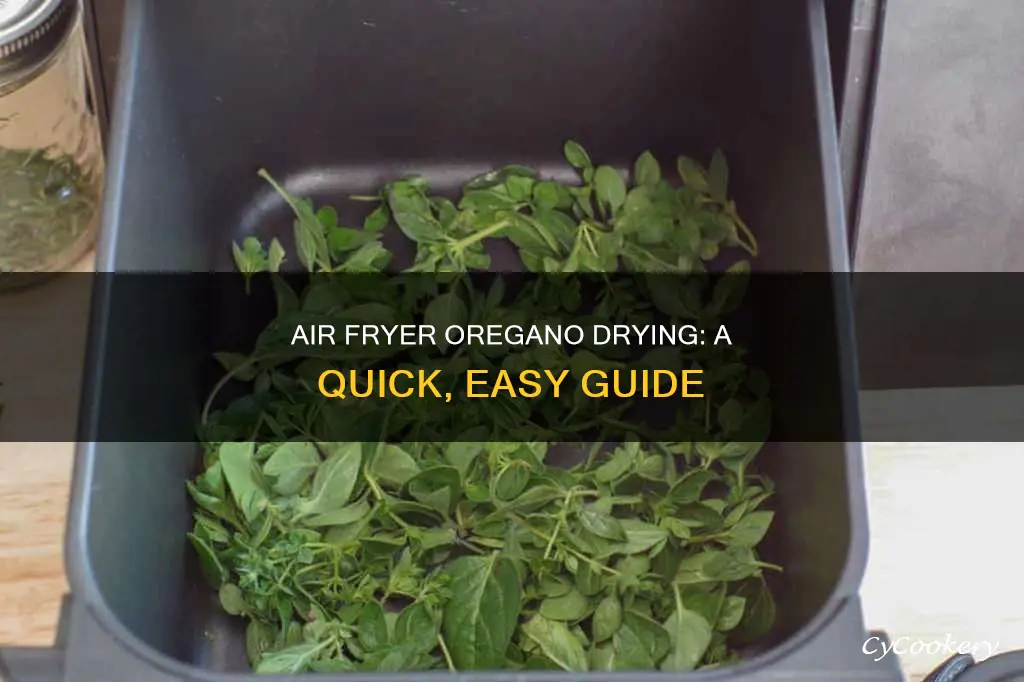 can you dry oregano in an air fryer