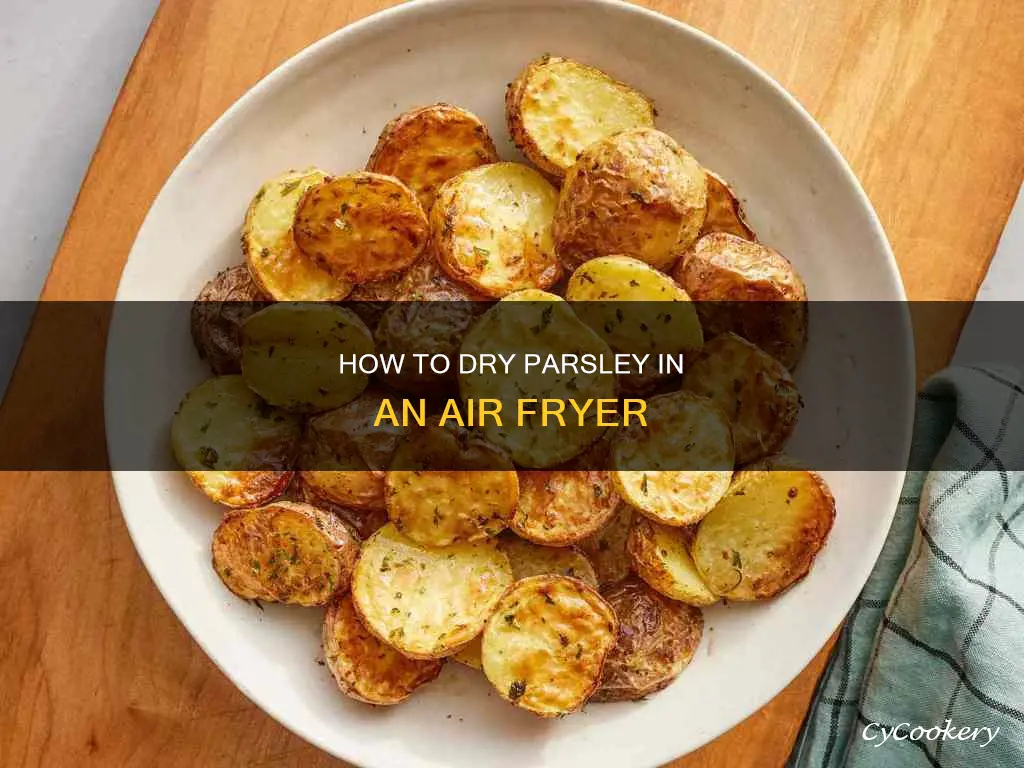 can you dry parsley in an air fryer