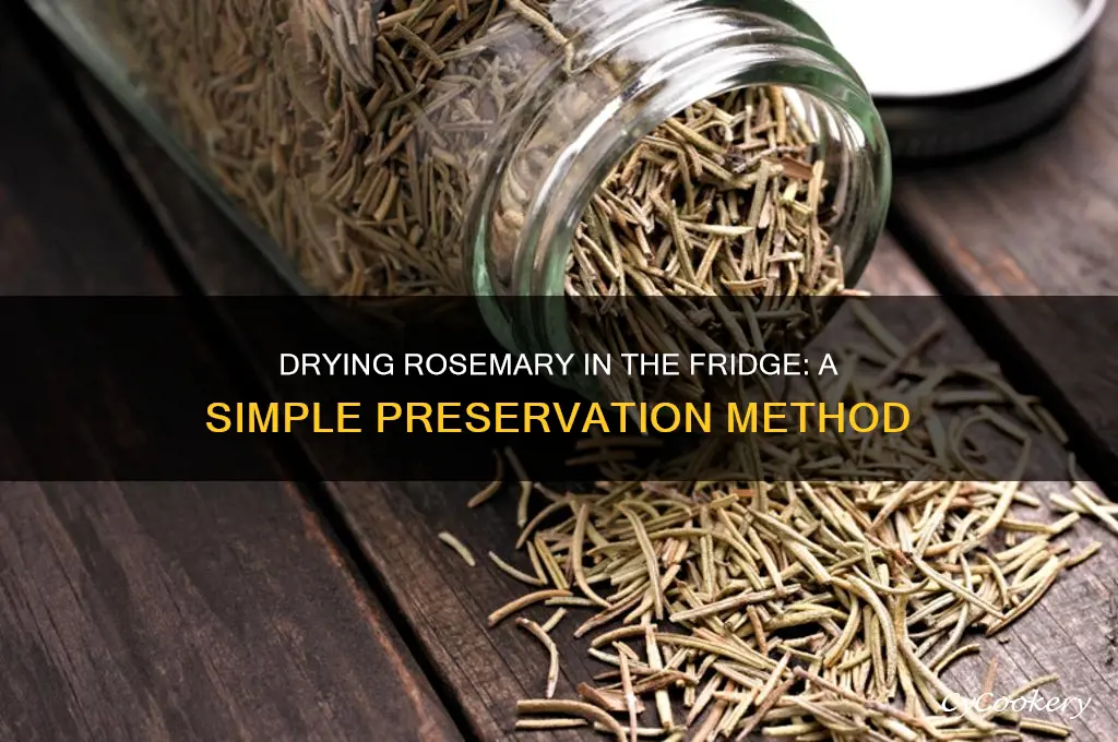 can you dry rosmary in the refrigerator