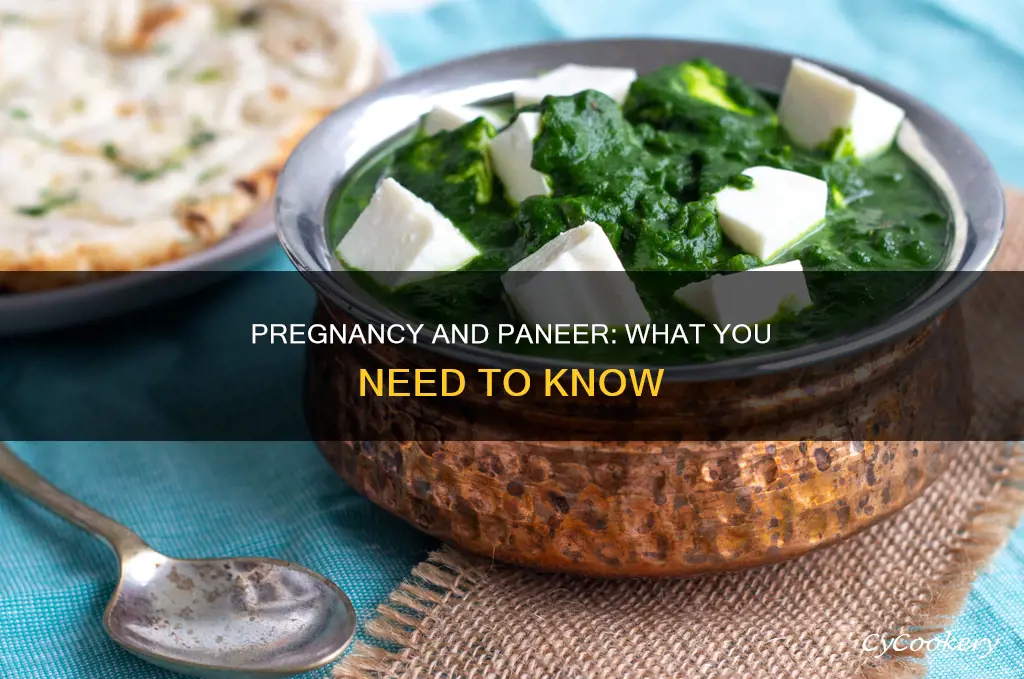 can you eat cooked paneer when pregnant