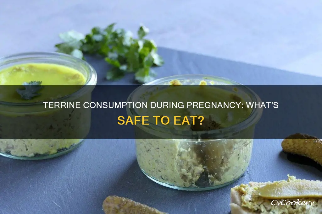 can you eat cooked terrine when pregnant