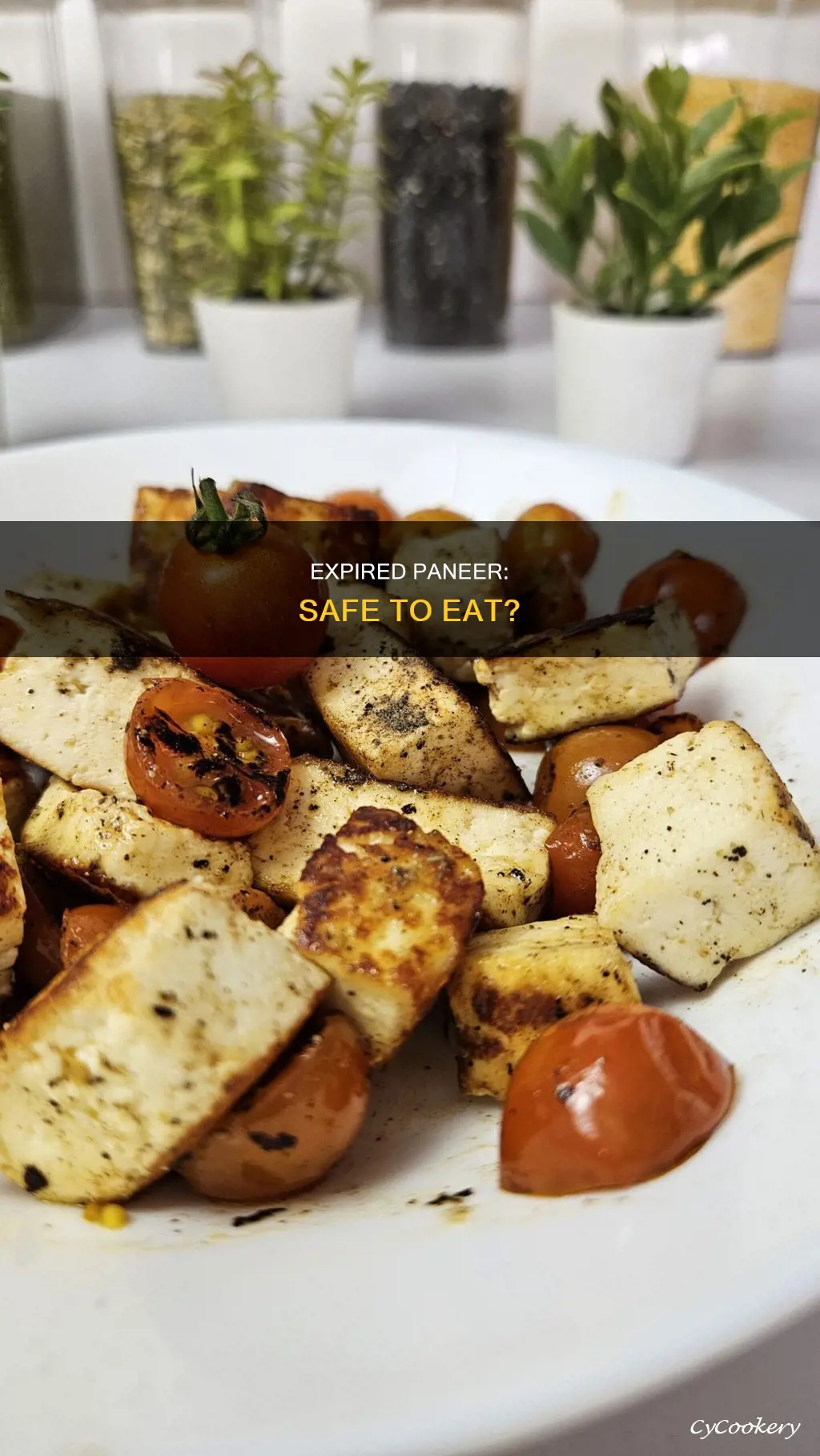 can you eat out of date paneer