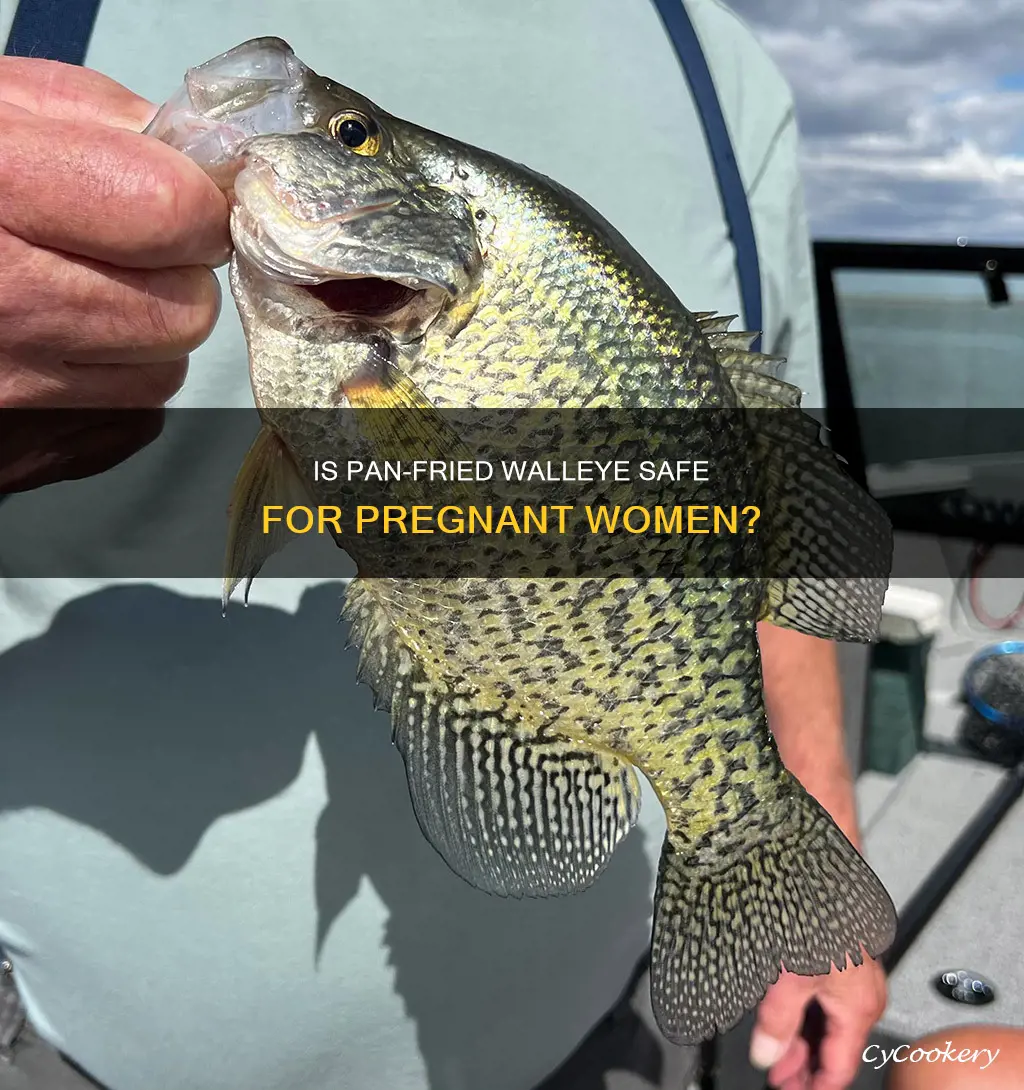 can you eat pan fried walleye when pregnant