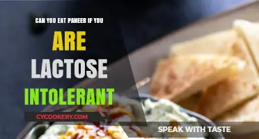 Lactose Intolerant but Love Paneer? Here's What You Should Know