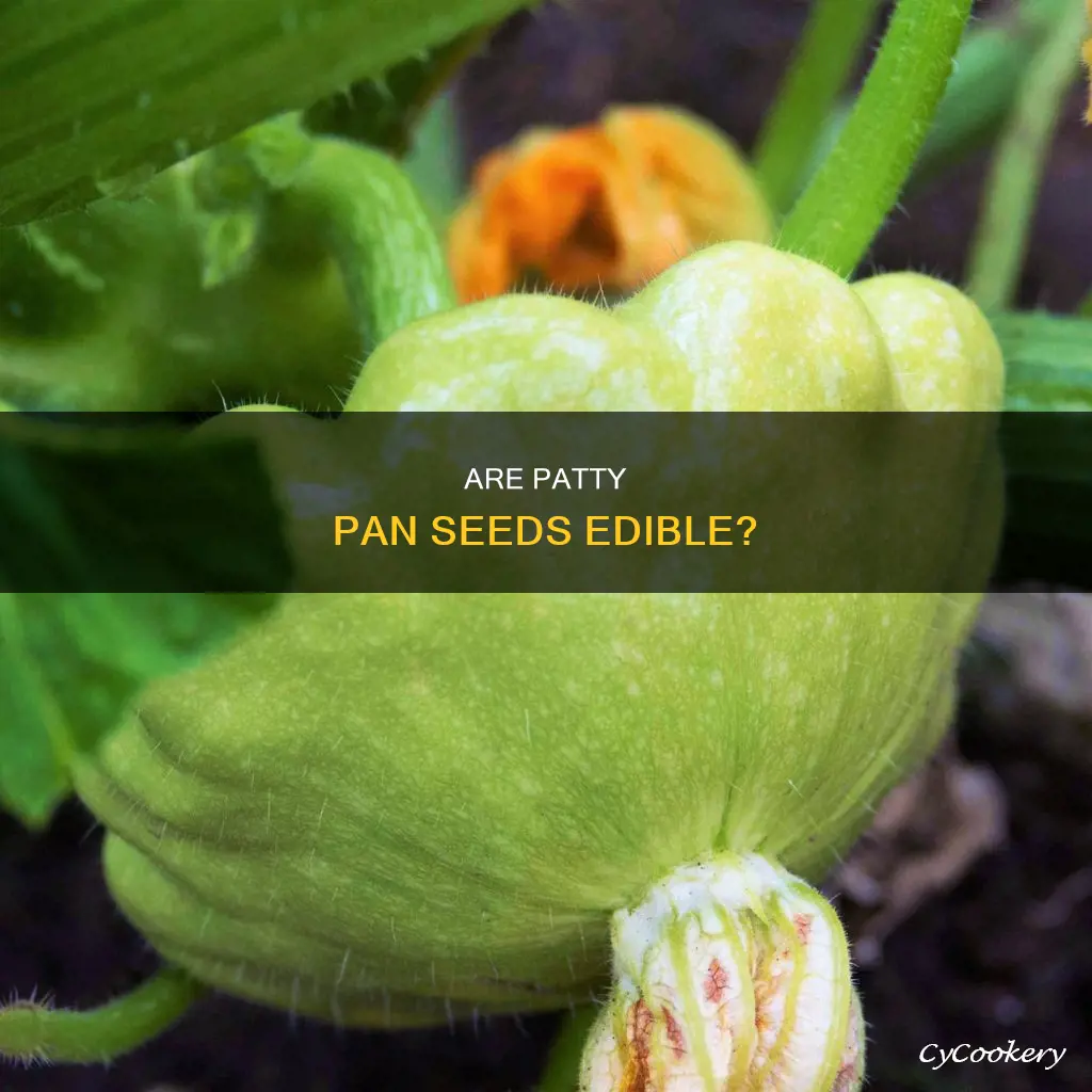 can you eat patty pan seeds