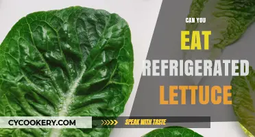 Refrigerated Lettuce: Safe to Eat or Toss? Expert Tips