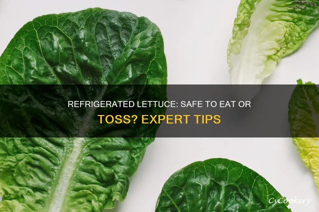 can you eat refrigerated lettuce