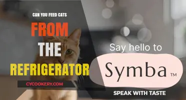 Can Cats Safely Eat Refrigerated Food? A Complete Guide