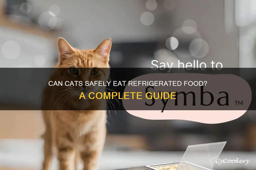 can you feed cats from the refrigerator