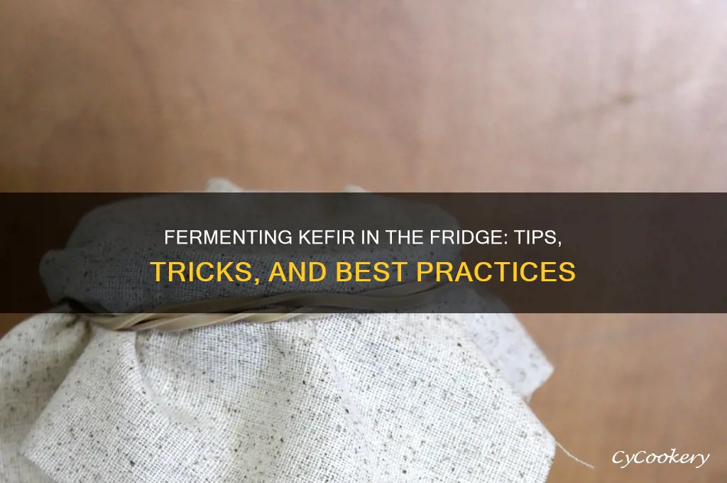can you ferment kefir in the refrigerator