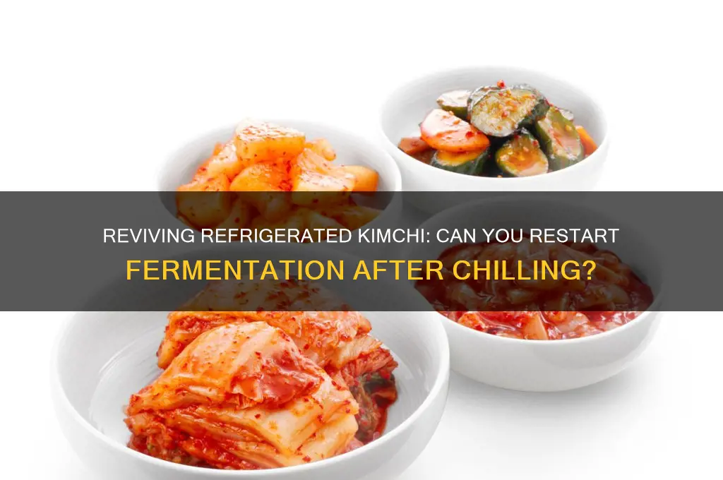 can you ferment kimchi after it