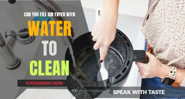 How to Clean Your Air Fryer With Water?