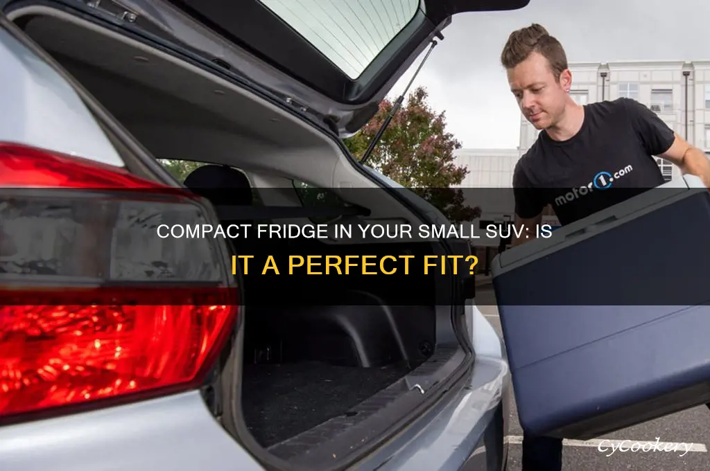 can you fit a compact refrigerator to a small suv