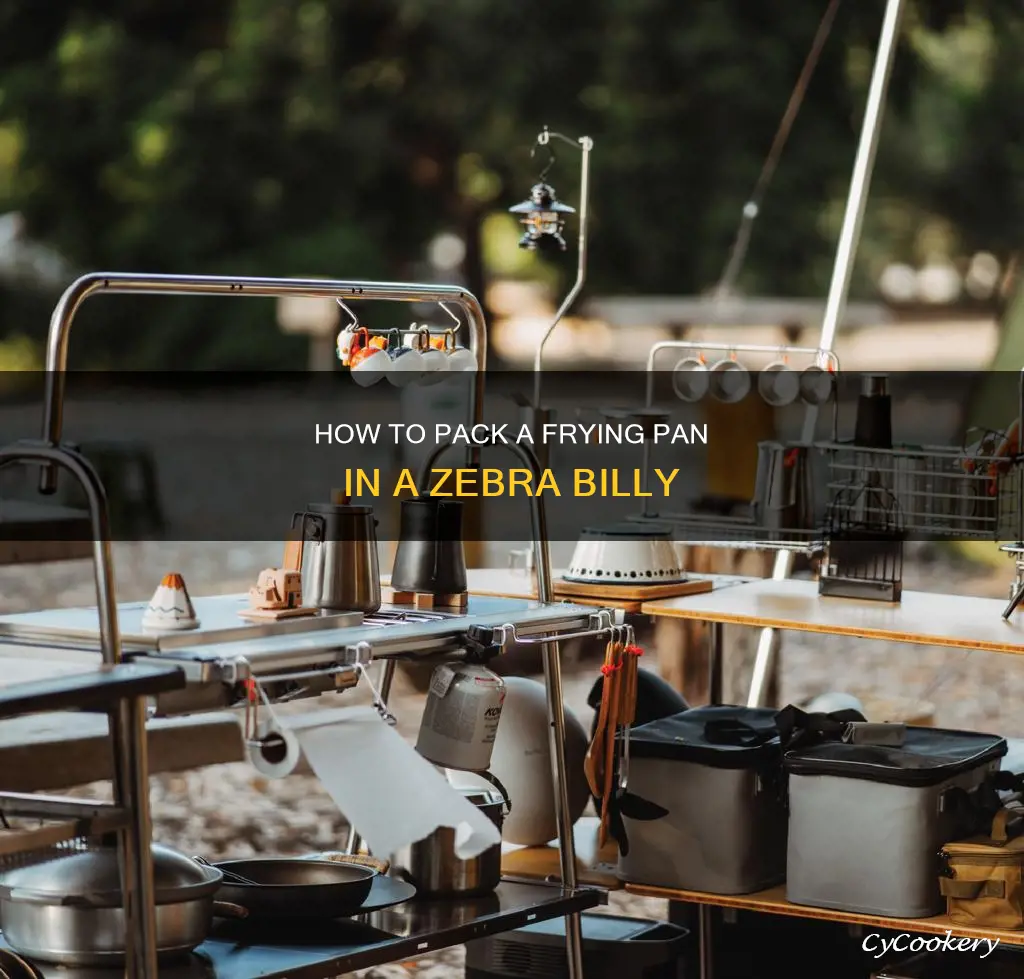 can you fit a fry pan into zebra billy